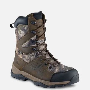 Irish Setter Hiking & Hunting^Terrain - 2713